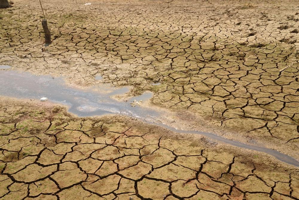 Rainwater harvesint